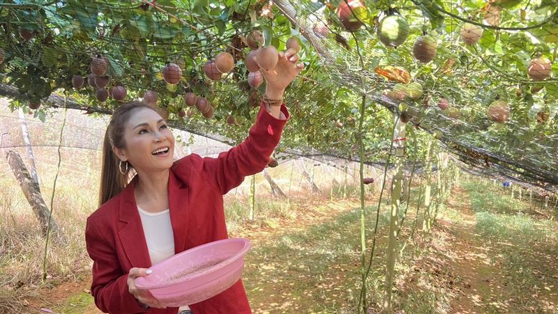 梁佑南現身果園。（圖／洪紫齊提供）