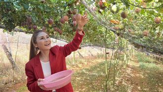 本土女星突現身果園累爆　花容失色揭原因