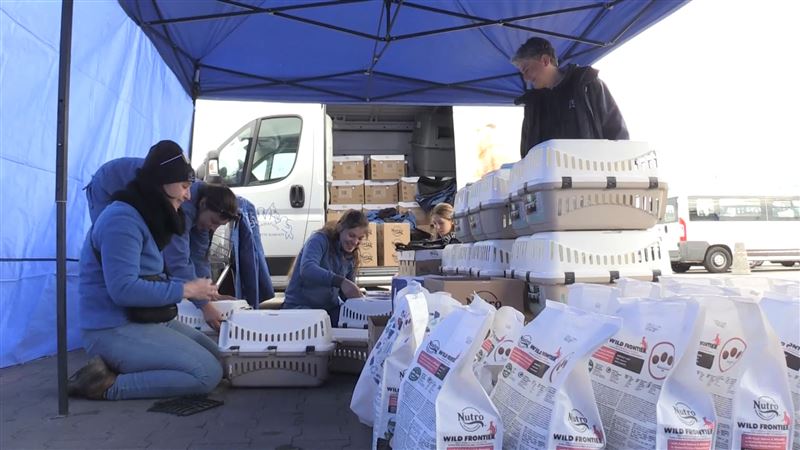 越來越多關於歐洲動物保護組織發起的活動資訊，不分國籍的志工們努力把在烏克蘭受困的動物救援出來。（圖／天馬行空提供）
