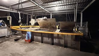 屏東養豬場違規廚餘飼養　罰80萬禁止上市