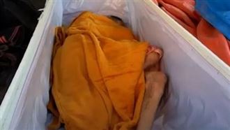 （圖／翻攝自ViralPres）） 