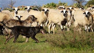 （示意圖／PIXABAY）