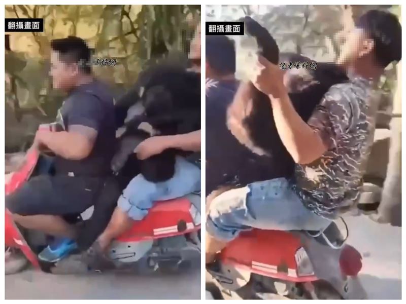 獵人騎車抱著黑熊「三貼」嘻鬧及逗弄屍體，還帶回部落給居民觀覽，再放入冰櫃冰存。（圖／翻攝畫面）