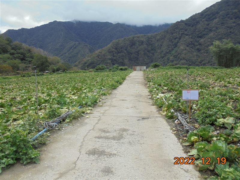 花蓮壽豐及光復鄉多筆農地均超低底價。（圖／法務部行政執行署花蓮分署提供）