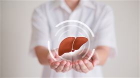 掌握B型肝炎守護健康防線不可「肝」等（業配勿用）