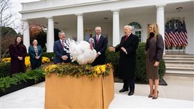 川普在火雞赦免儀式上不忘火烤民主黨政敵。（圖／翻攝自X平台 @WhiteHouse）