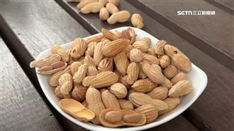 木雕花生太逼真　藝術家寄日本參賽險卡關