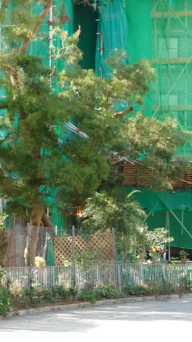 最初冒出小火時已被路人注意到，驚呼怎麼警報沒有響。（圖／翻攝畫面）