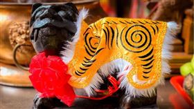 ▲虎爺公。（圖／翻攝自全臺開基祖廟-雲林土庫鳳山寺粉絲專頁）