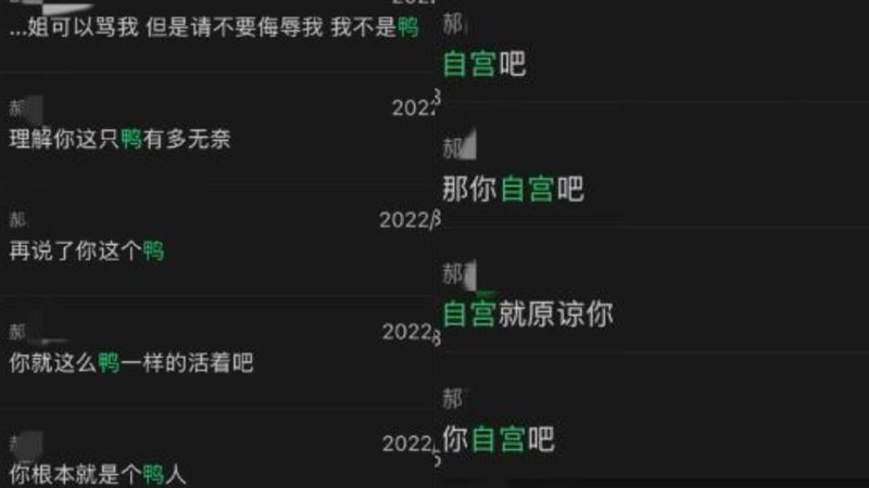 丁澤仁貼出多張郝女士對他進行辱罵和威脅的聊天截圖，如罵他是「鴨（男妓）」、「狗東西」，讓他「自宮」等。（圖／翻攝自微博）