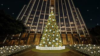 老榕樹成靈感　凱基金明點亮永續聖誕樹