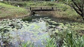 Cool Autumn的I人獨旅—平溪祈福之路（業配勿用）