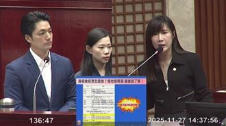 柳采葳質詢演唱會經濟，但把韓團是幾代團全部講錯（圖／翻攝畫面）