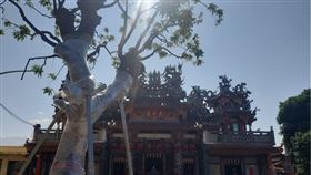 ▲玄武宮與門口老樹。（圖／翻攝自犁頭鏢玄武宮粉絲專頁）