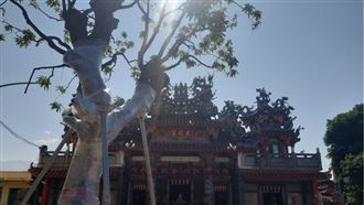 ▲玄武宮與門口老樹。（圖／翻攝自犁頭鏢玄武宮粉絲專頁）