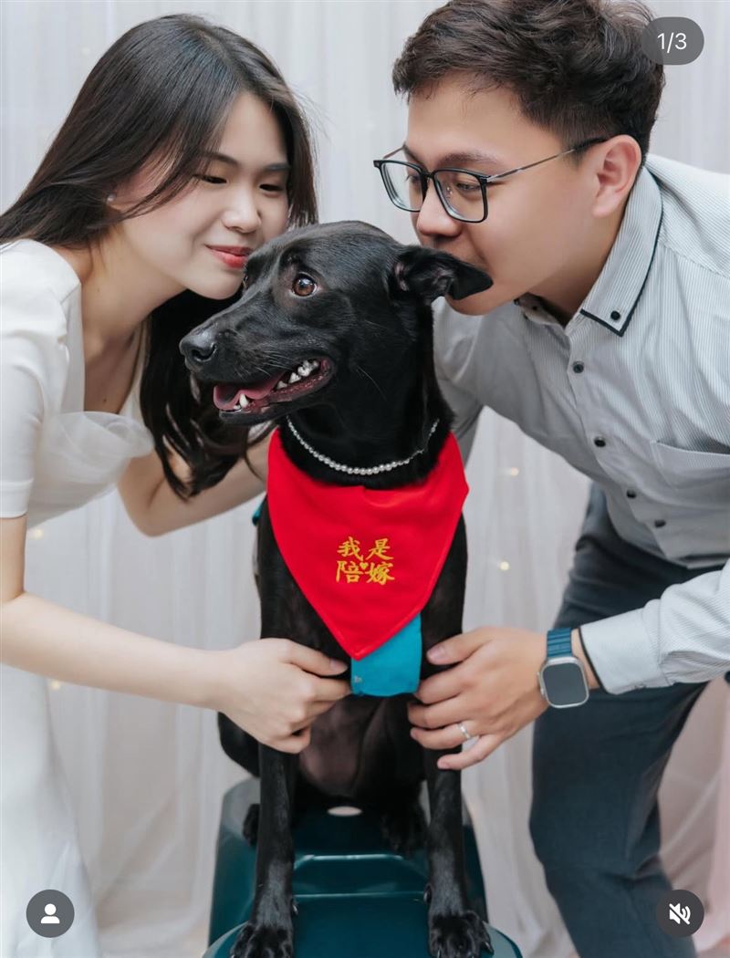 「張君雅小妹妹」簡嘉芸結婚了。（圖／翻攝自IG）