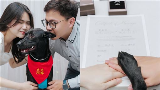 「張君雅小妹妹」結婚了！簡約婚紗照曝光