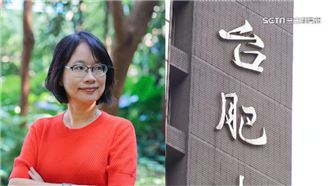 台肥公司，台肥，吳音寧。(圖/翻攝自吳音寧臉書、資料照)