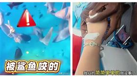女遊客在馬爾地夫潛水期間，手腕遭護士鯊咬傷，畫面曝光引發關注。（圖／翻攝自銳於之樂，下同）