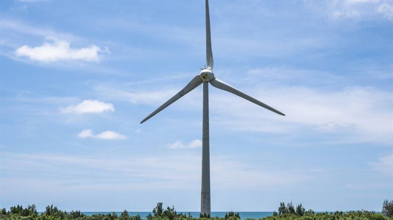 強風燈號12月上路　屏東每年吹195.6天