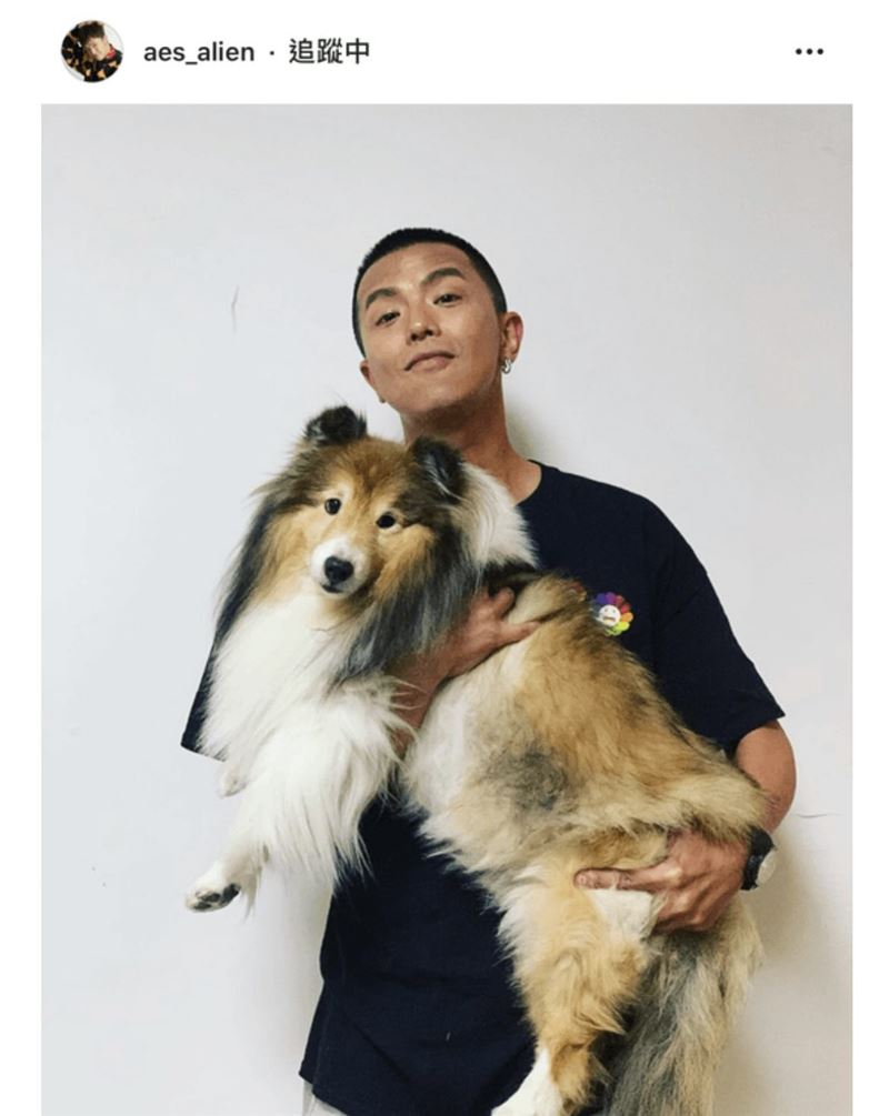 網友發現峮峮懷中的狗狗，與小鬼發文的疑似同一隻。（圖／翻攝自IG）