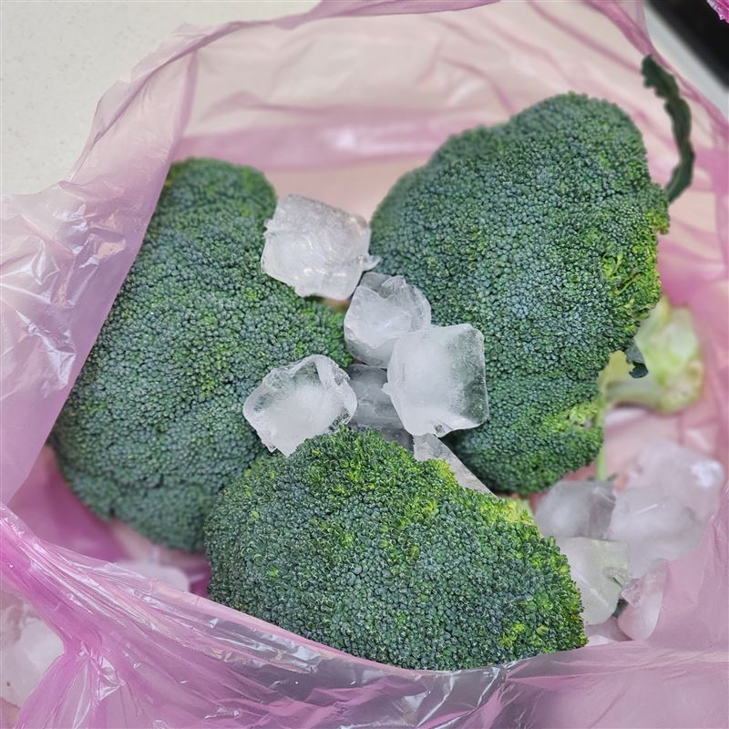 粉專「蜜雪兒減醣實驗室」教大家保存花椰菜的妙招。（圖／翻攝自《蜜雪兒減醣實驗室 Michelle Low Carb Diet Laboratory》）