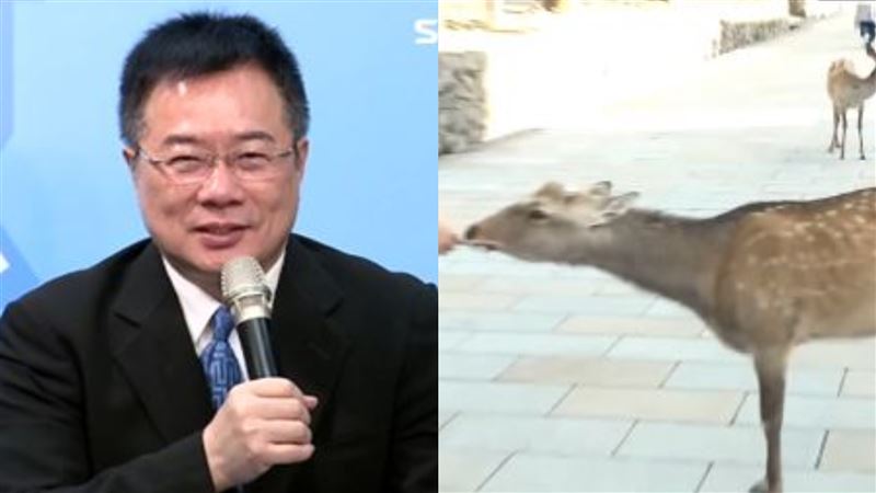 陸客減少害奈良鹿都餓死？他1句話打臉