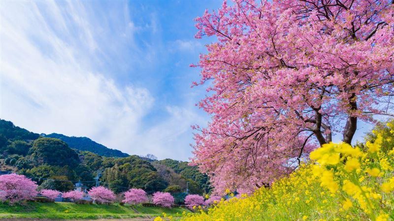 77%旅客AI規劃旅行 夢幻航班春節限定開搶