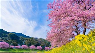 77%旅客AI規劃旅行 夢幻航班春節限定開搶