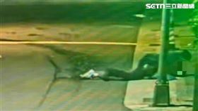 北市何姓通緝犯被盤查逃跑仍遭逮，友人揮拳毆警也被抓。（圖／翻攝畫面）