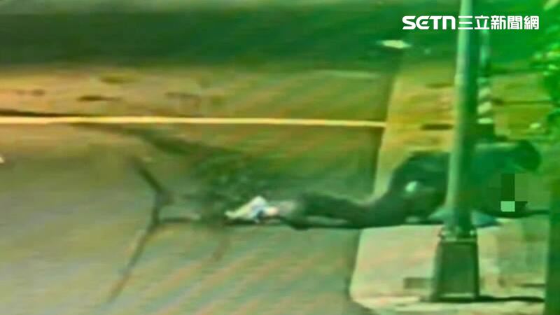 通緝犯遇盤查轉身逃　豬隊友相挺揮拳毆警