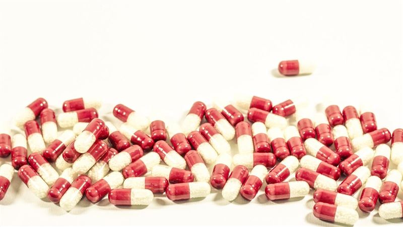 NBI指數再飆今年新高　這檔績效好威！