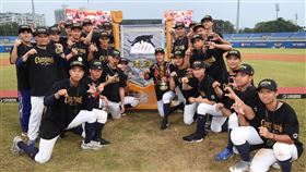 黑豹旗冠亞軍平鎮、羅工將在12月對抗賽迎戰日本甲子園聯隊。（圖／中央社）