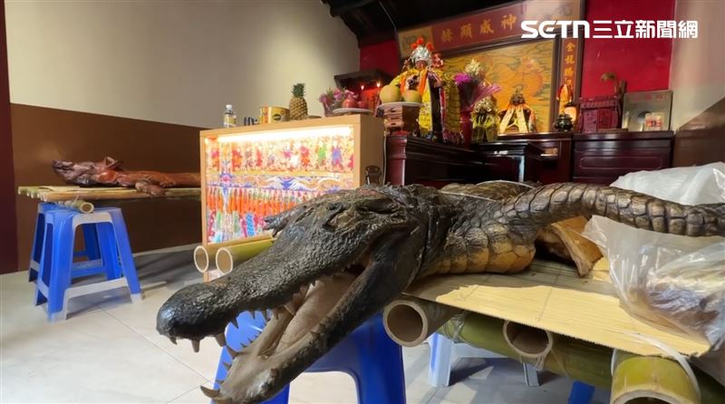 鱷魚近年成了廟會熱門供品。（圖／記者朱俊傑攝影）