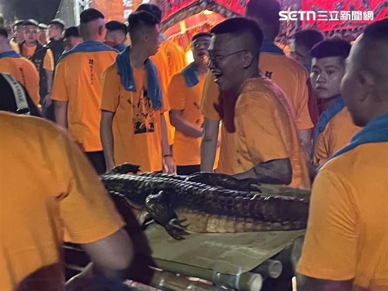 屏東廟會遶境出現整隻鱷魚當供品。（圖／記者朱俊傑攝影）