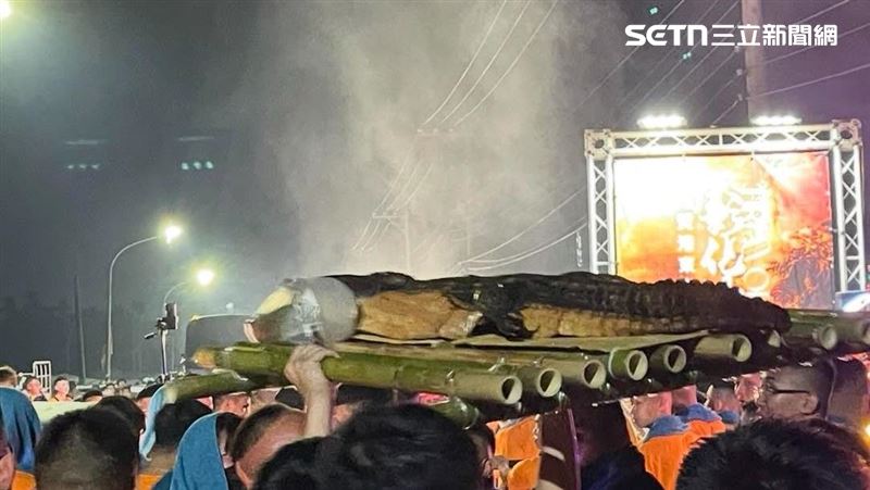 整隻鱷魚擺上廟會供桌　拜完剁屍炒三杯