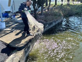 新／全聯鯛魚藥超標來自雲林　縣府說話了（圖／翻攝畫面）