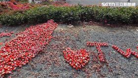 台灣,日本,大阪,台日,中國,TW,勝尾寺（圖／翻攝自Threads @wuhsuehlin帳號）