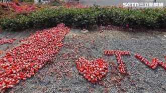 中國大媽遊日毀TW　他衝勝尾寺復原網讚爆