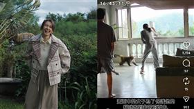 袁艾菲家中遭到猴子闖入。（圖／翻攝自IG）
