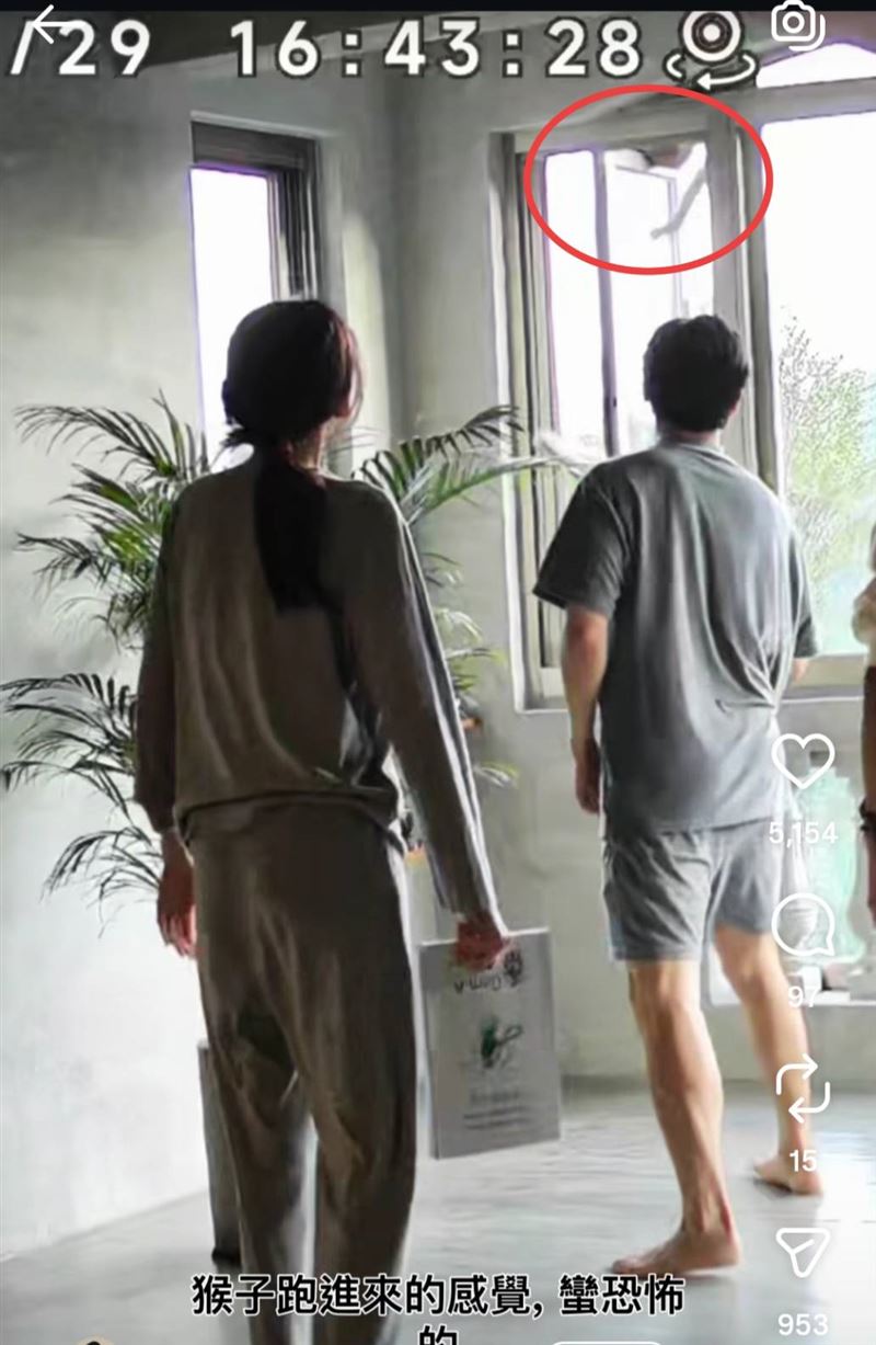 猴子（紅圈處）從窗戶逃跑。（圖／翻攝自IG）