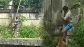 19歲男子攀爬樹木進入獅子園區，被母獅攻擊當場死亡。（圖／翻攝自X）