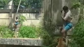 19歲男攀樹空降獅子園區　遭母獅活活咬死