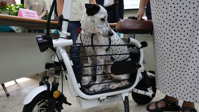「寵物電動車」不是車　40人被騙告詐欺