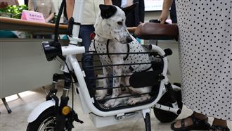 「寵物電動車」不是車　40人被騙告詐欺