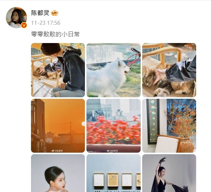 陳都靈最近一篇文停留在11月23日。（圖／翻攝自微博）