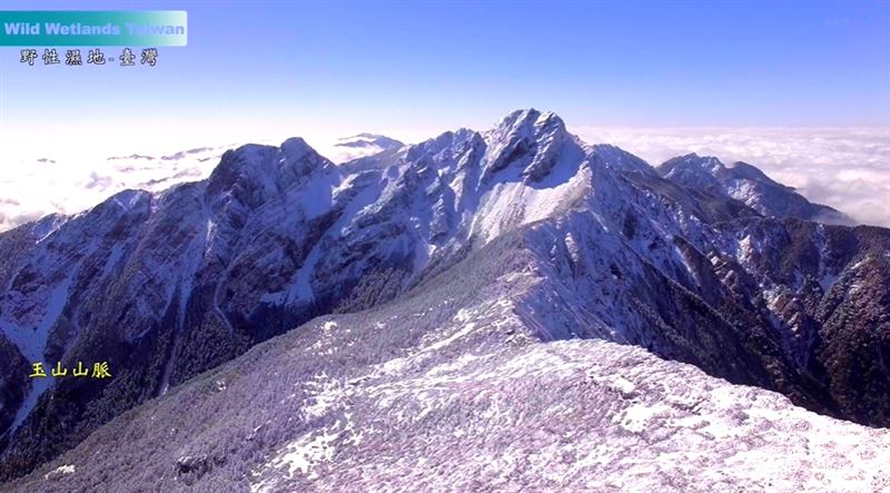 2019年諾貝爾物理學獎得主，系外行星之父迪迪埃・奎洛茲（Didier Queloz）快閃台北。大讚台灣紀錄片《野性濕地》拍出守護地球的力量。（圖／翻攝自台灣紀錄片《野性濕地》預告YT）