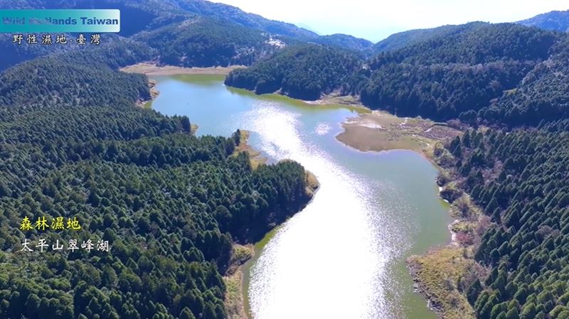 2019年諾貝爾物理學獎得主，系外行星之父迪迪埃・奎洛茲（Didier Queloz）快閃台北。大讚台灣紀錄片《野性濕地》拍出守護地球的力量。（圖／翻攝自台灣紀錄片《野性濕地》預告YT）