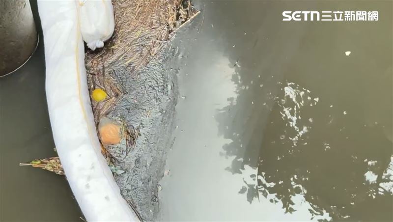 汙染物呈現油狀、乳化白化外觀，且尚未完全消散。（圖／記者林俊華攝影）