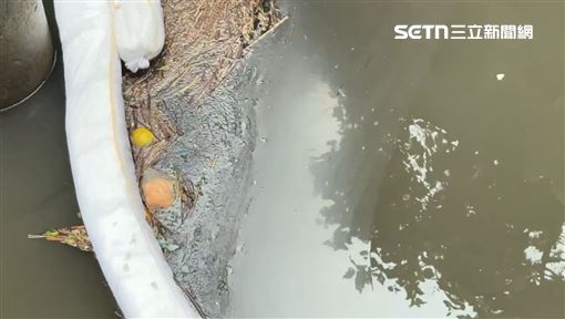 汐止油污補助收件到31日　換濾心最高千元